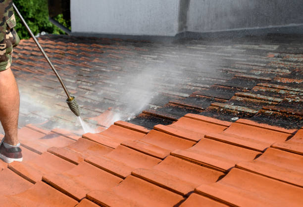 Best Concrete Pressure Washing  in Lauderdale Lakes, FL